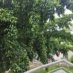 Mirador zaragocilla